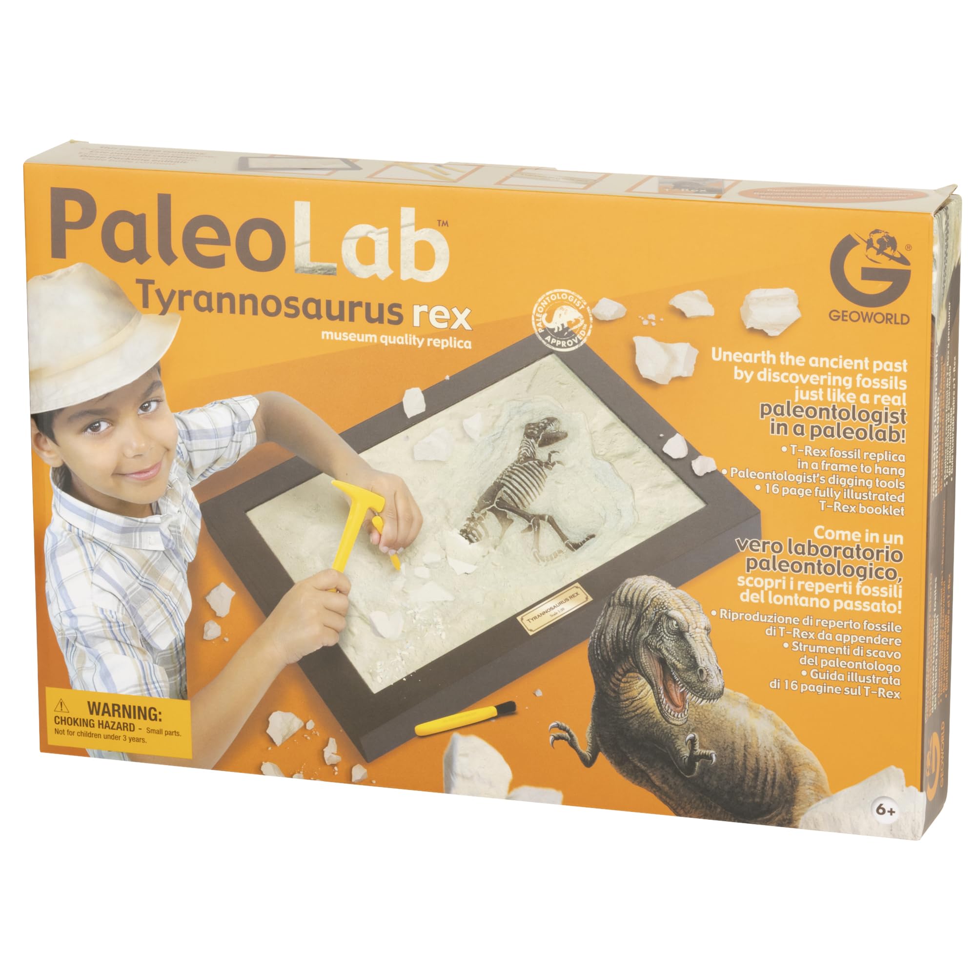 Amazon.co.jp: ヤマサン(Yamasan) 化石発掘プレート ティラノサウルス