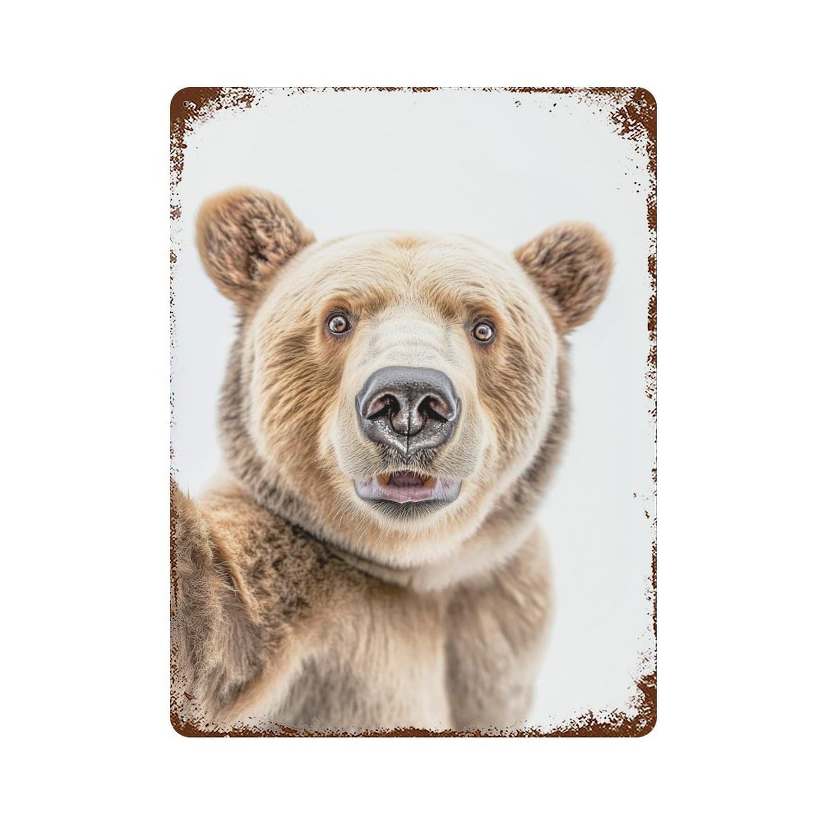 A Bear Taking A Selfie Decorative Tin Sign 15.7"x11.8", for Farmhouse, Kitchen And Entryway Decor, Shabby Chic Decor