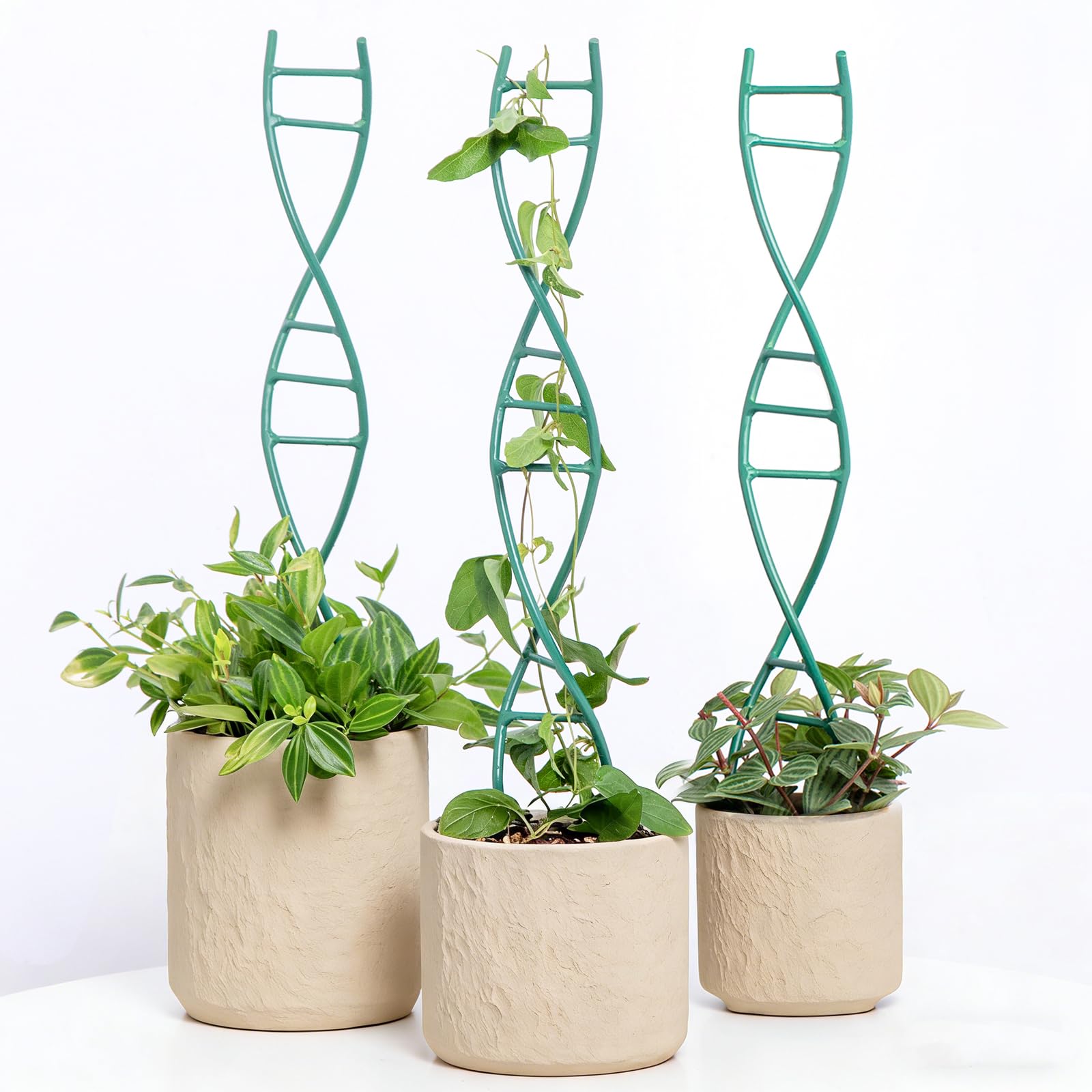 Yohsnor Upgraded Spiral Trellis Green