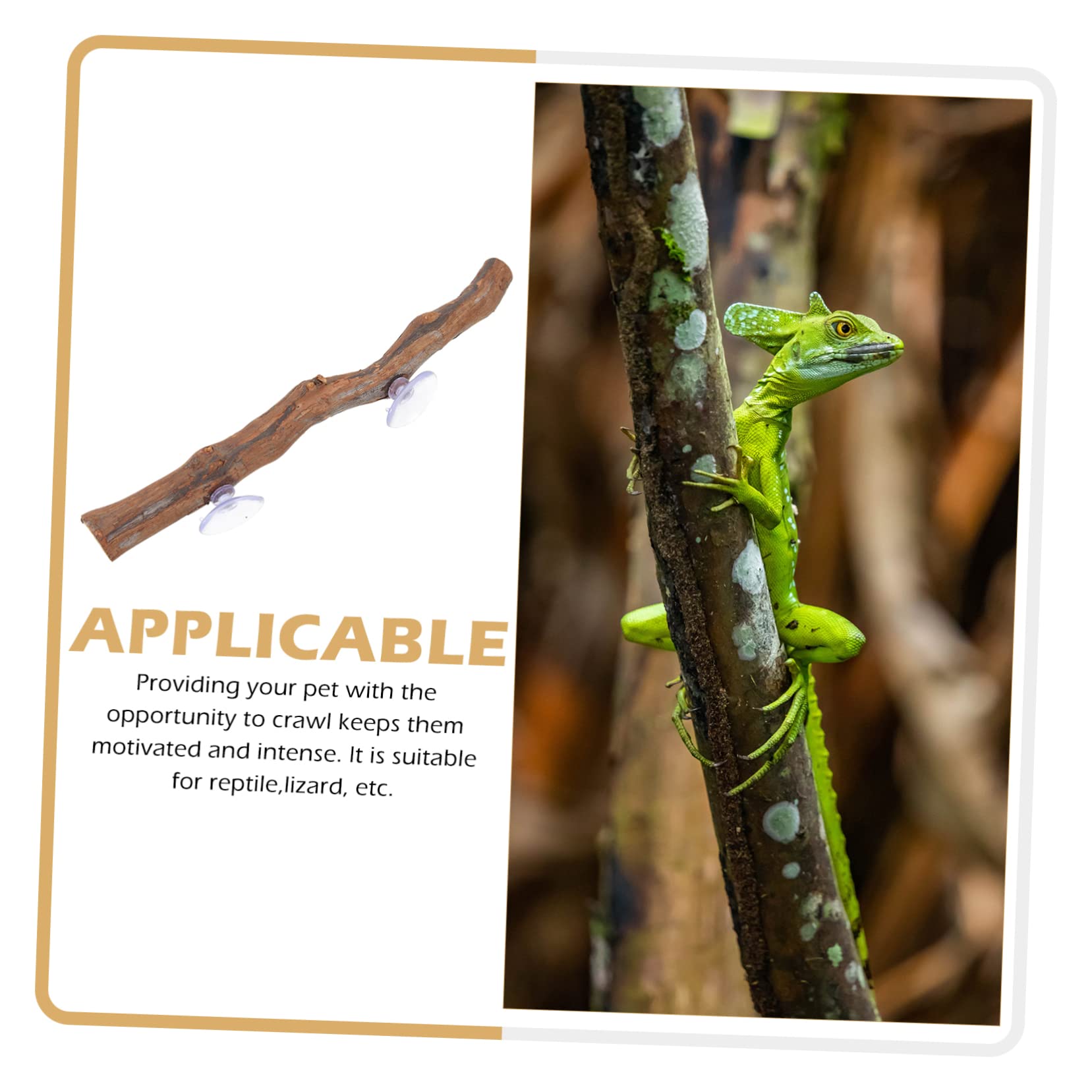 3 Pz Supporto in Legno D'uva Camaleonte Accessori Per Rettili Giocattoli Accessori Camaleontici Rami Per Lucertole Viti Ramo Di Geco Crestato Coniglio Anfibio Kit Di Legno