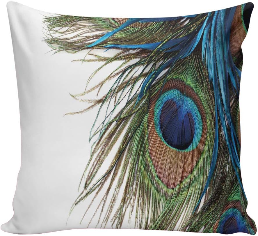 Aiesther Peacock Feather Pillow Covers Home Decor Design