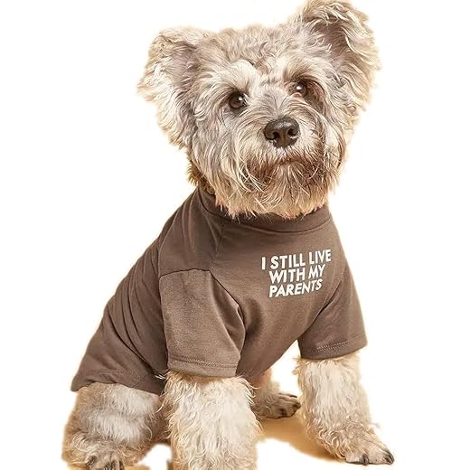 Cute Dog Clothes,Dog T Shirt for Medium Dogs.Dog Clothes for Small Dogs Girl Boy,Puppy.Breathable Soft Dog Costume Pet Dogs Cats,Pet Pullover Jumper,Cat Clothes (M-(7~11lb), Chest~16", Khaki)