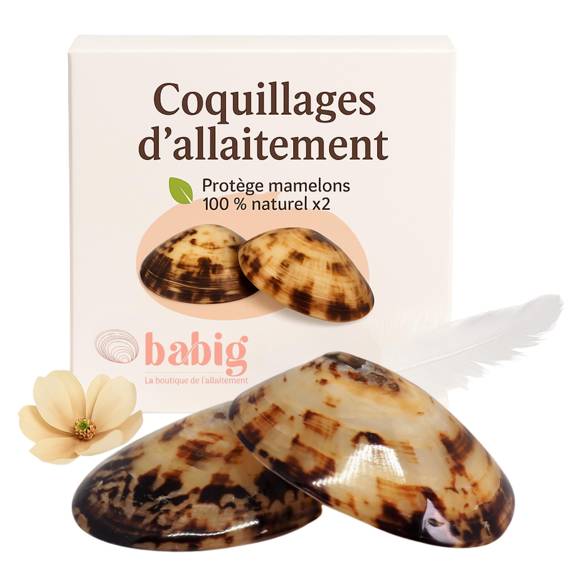 BABIG Coquillages d'Allaitement Taille M 100% Naturels – Soulage les douleurs – Réutilisables, Faits-Main – Protège Les Mamelons – Pour Jeunes Mamans – Taille Disponibles XS à XXXL