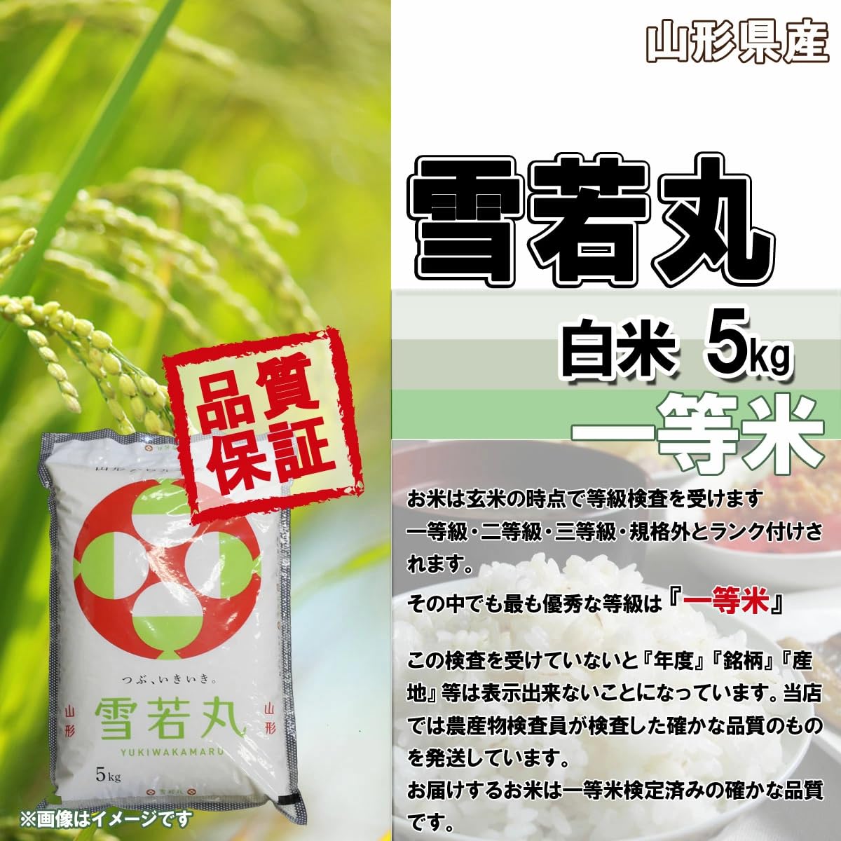 Amazon.co.jp: 令和7年産 新米 山形県産 雪若丸 白米 5kg : 食品・飲料