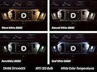 Vista 4 de Diode Dynamics 194 HP5 bombillas LED (individual), blanco natural (4000K)