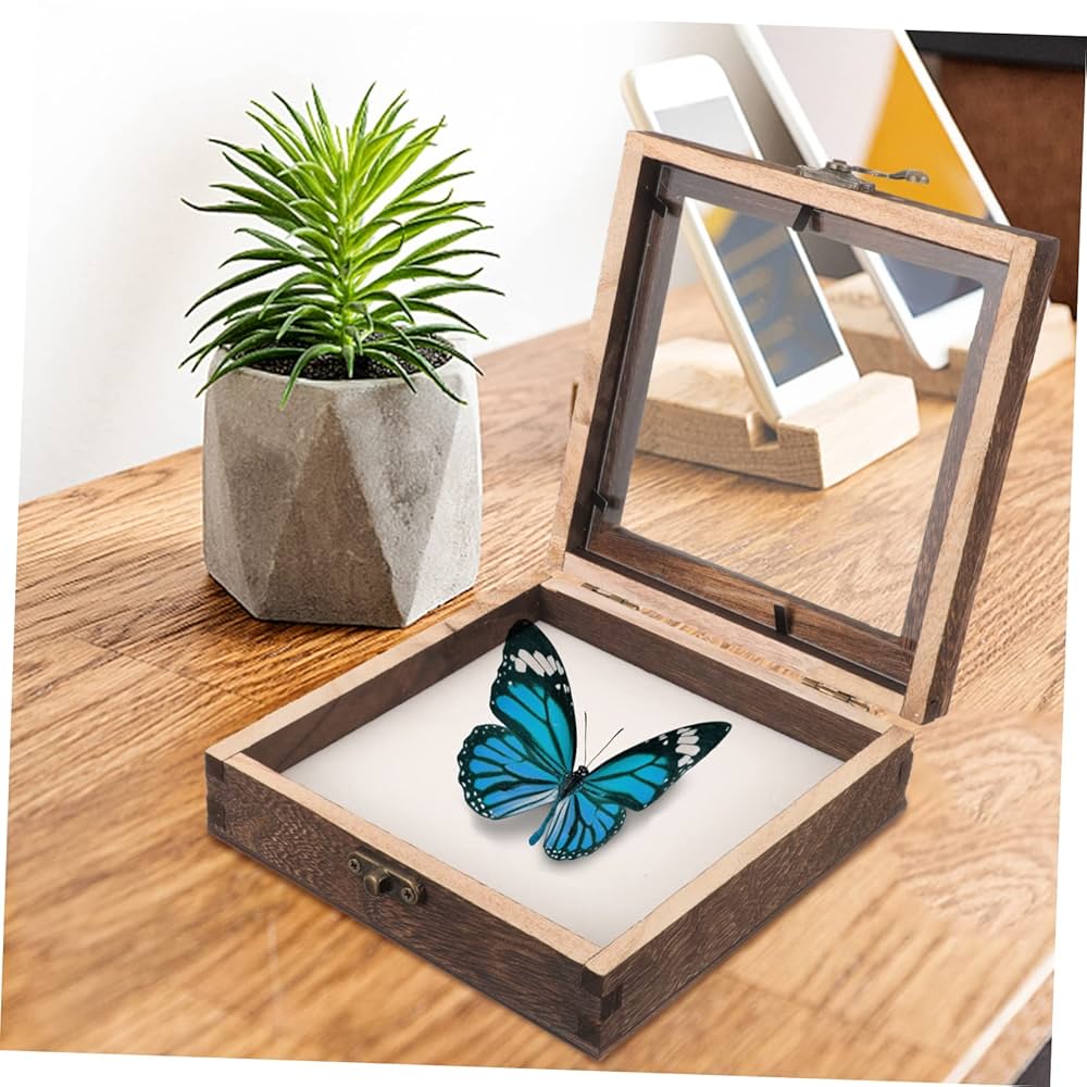 昆虫標本 フレーム付き標本箱 中 黒 昆虫標本 フレーム付き標本箱 中 黒 - メルカリ