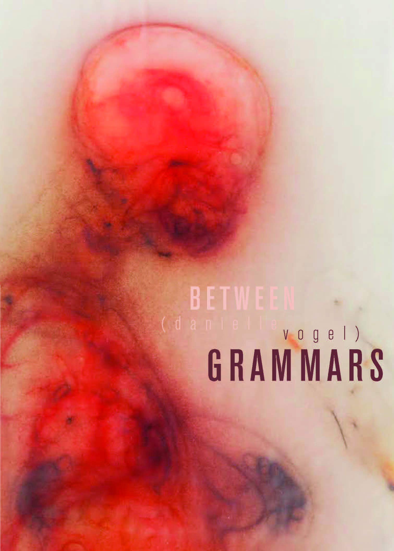 Between Grammars