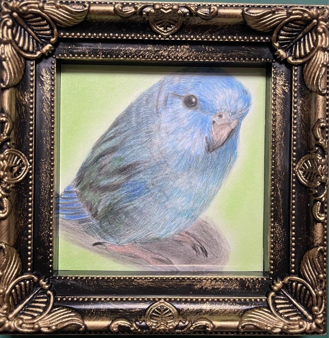 色鉛筆画 サファイア(原画) 篠 | 色鉛筆でサファイアの絵を描きました