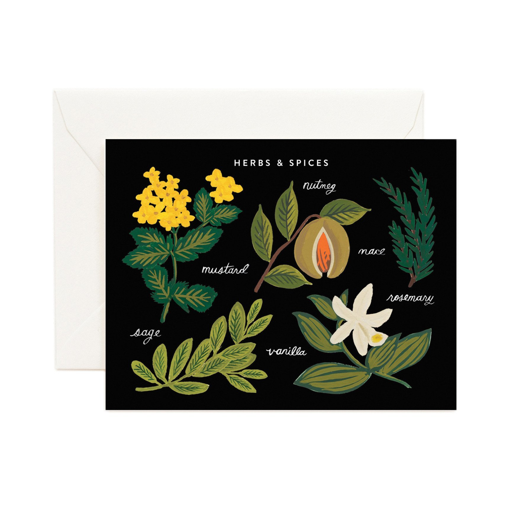 Rifle Paper Co. Boxed Set of Herbs & Spices Chart Cards