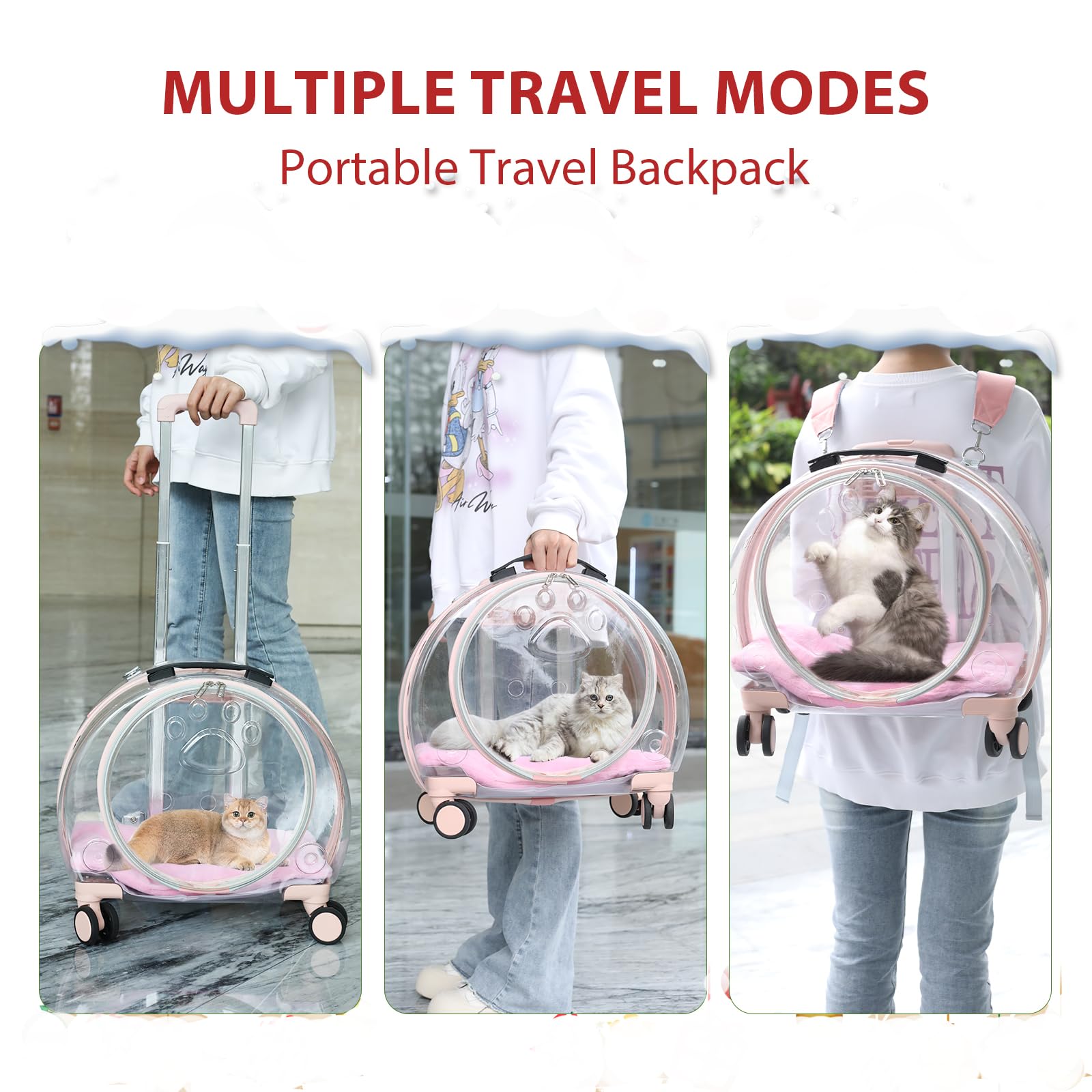 Transparent & Fully Breathable Hard cat Carrier with Rolling Wheels