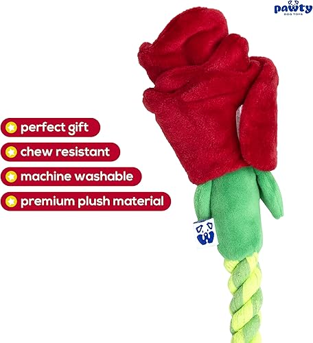 Miniatura 6 de Juguete de peluche de aguacate para perros - Regalo chirriante para cumpleaños de cachorros - Juguetes lindos para perros pequeños a medianos -