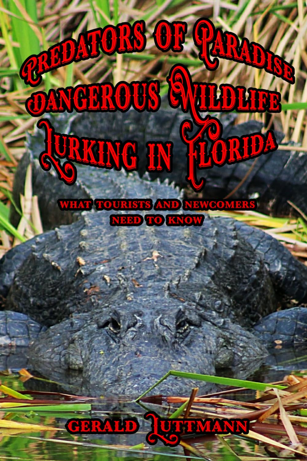 Predators of Paradise Dangerous Wildlife Lurking in Florida: What Tourists and Newcomers Need to Know