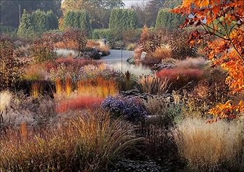 洋書　product as landscape 71xIUNC9buS._AC_UF350,