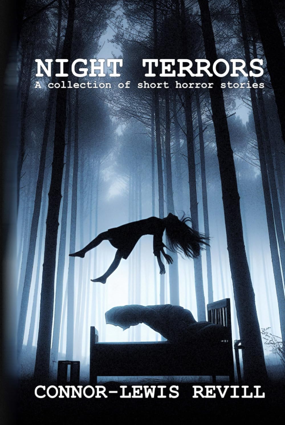 NIGHT TERRORS: A COLLECTION OF SHORT HORROR STORIES
