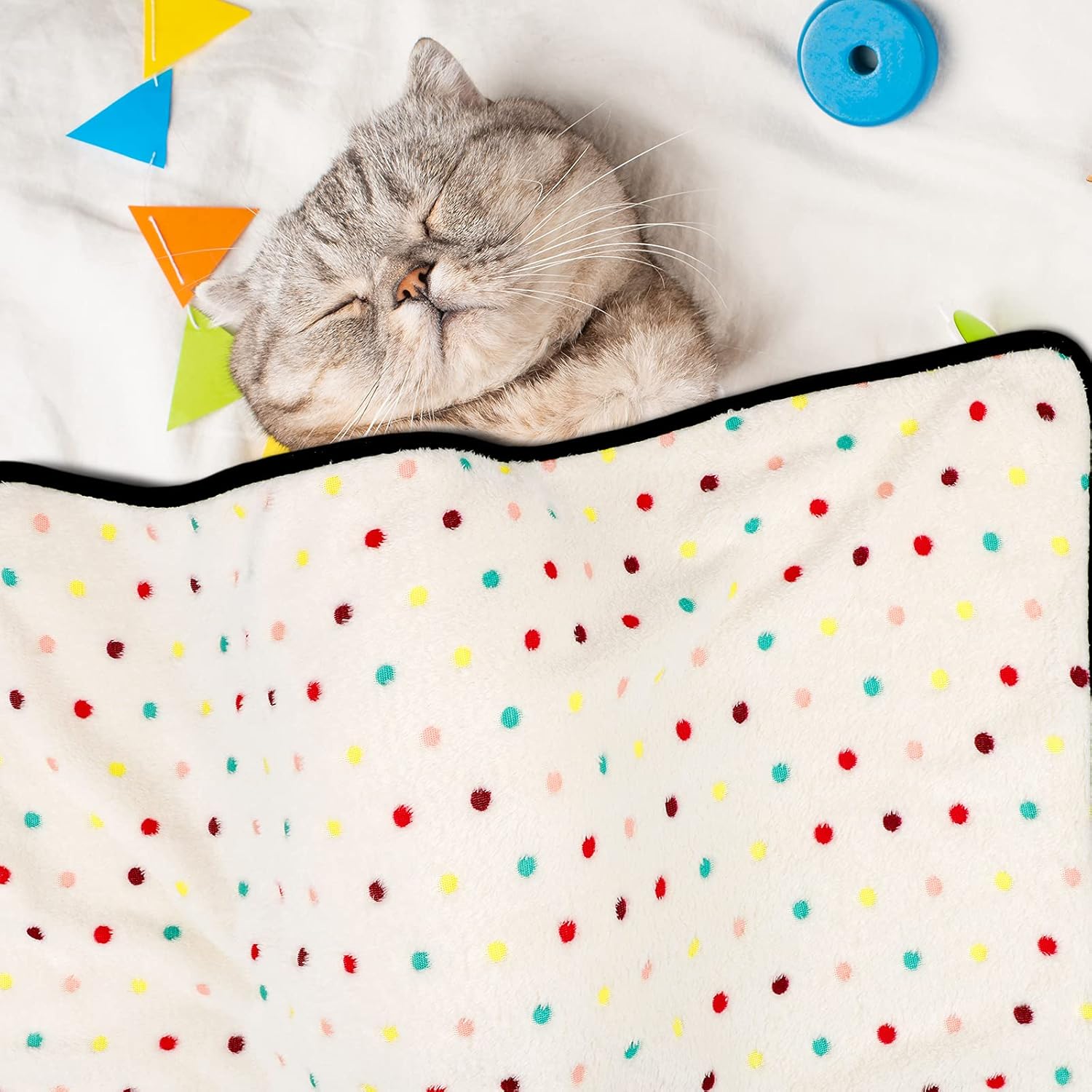 Pedgot 6 Pieces 30 x 20 Inches Pet Blankets with Dot Print Fluffy Dog Cat Throw Blankets Warm Bed Mat for Pets, Blue, Pink, Dark Grey, Beige, White, Purple : Pet Supplies