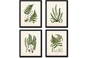 Vintage Fern Botanical Prints - Unframed Set of 4 Wall Decor for Home and Kitchen