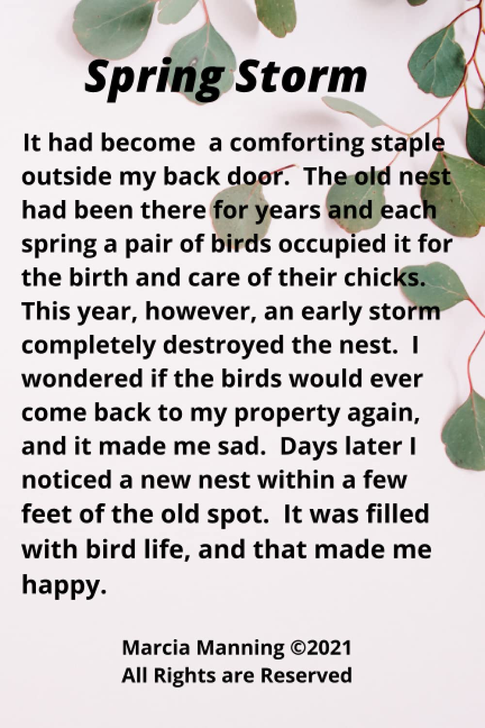 Spring Storm: A Lined Journal Notebook for nature lovers of all ages.