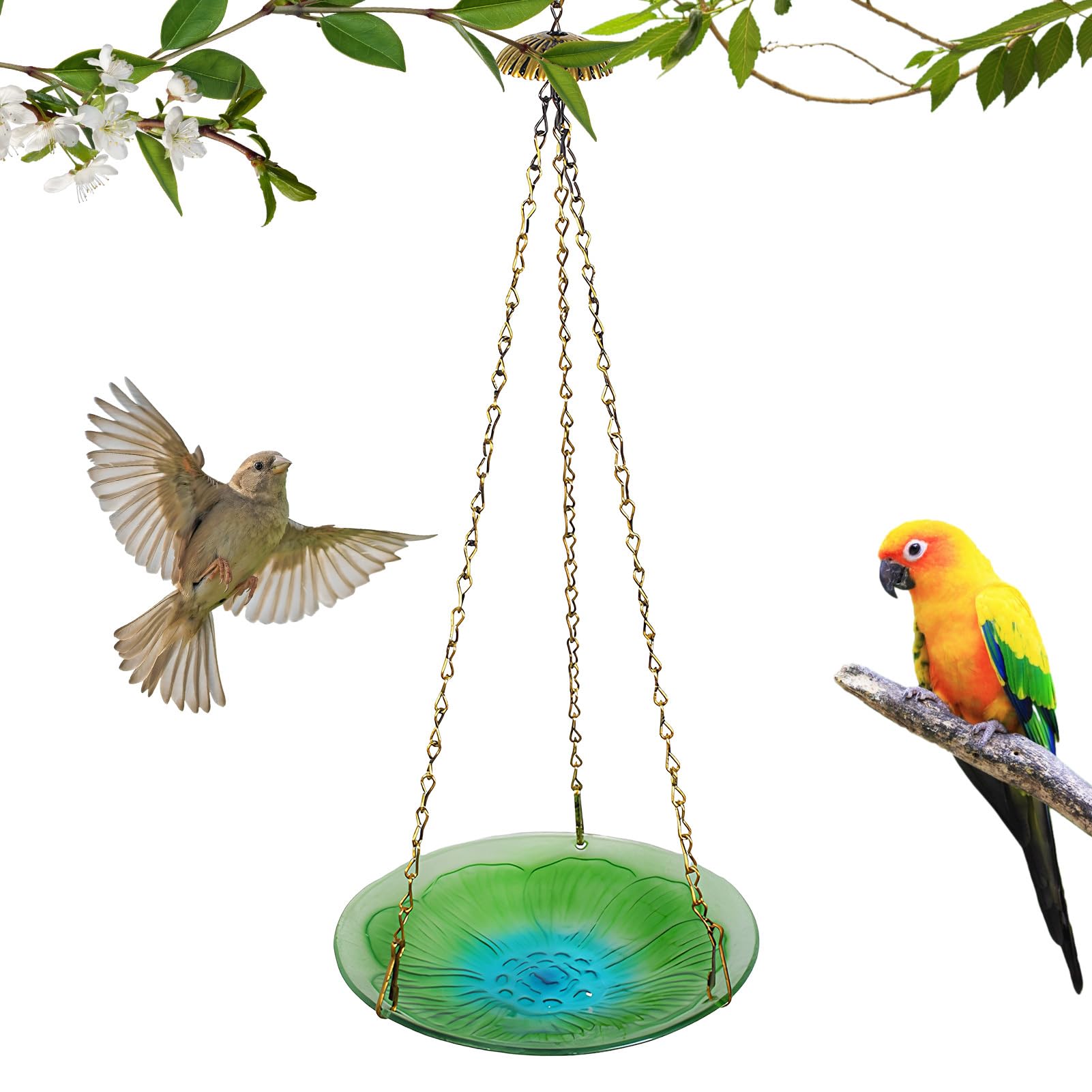Mangeoire pour colibris facile à nettoyer pour nourrir les oiseaux sans gaspillage