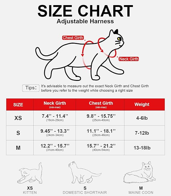 Cat Harness and Leash for Walking Escape Proof Soft Adjustable Cat Leash