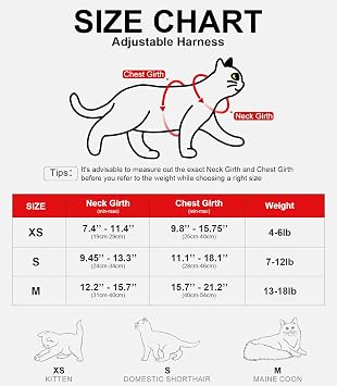 Cat Harness and Leash for Walking Escape Proof Soft Adjustable Cat Leash