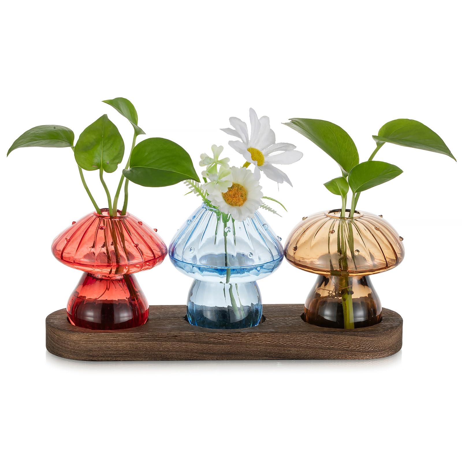 Glasseam Mushroom Plant Propagation Station: Glass Plant Terrarium Jar with Wood Stand Unique Hydroponic Planters for Indoor Plants Cute Propagation