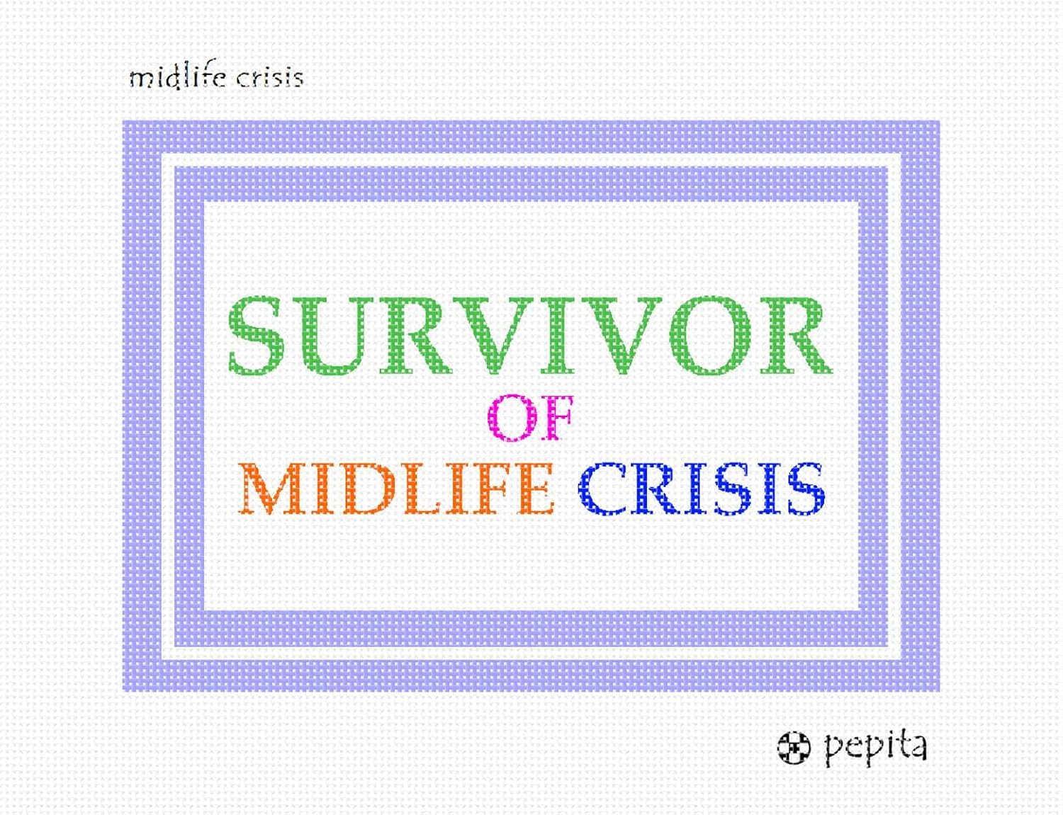Pepita Needlepoint kit: Midlife Crisis, 10" x 7"