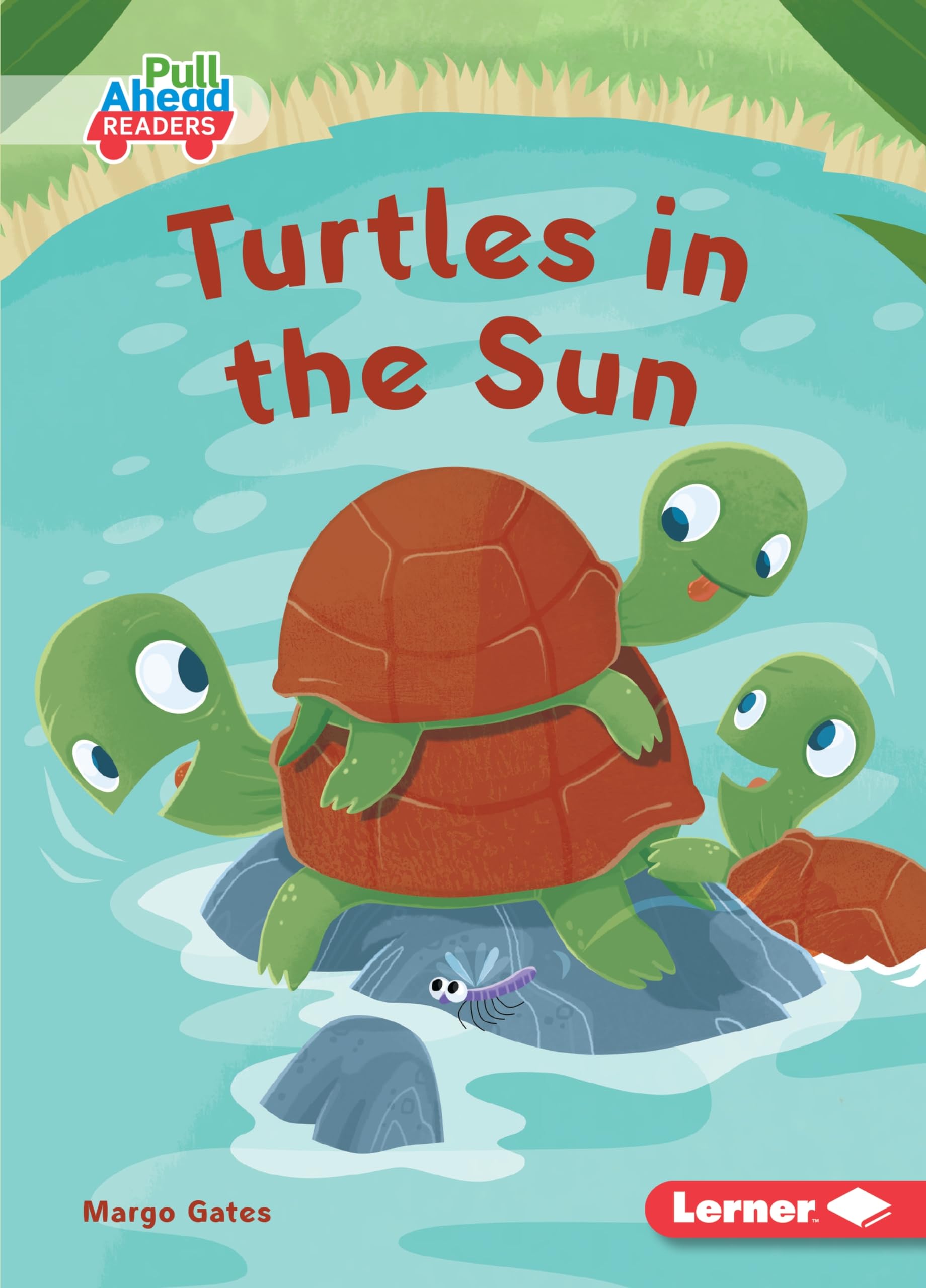 Buy Turtles in the Sun (Let's Look at Weather: Pull Ahead Readers) — BookShops.in