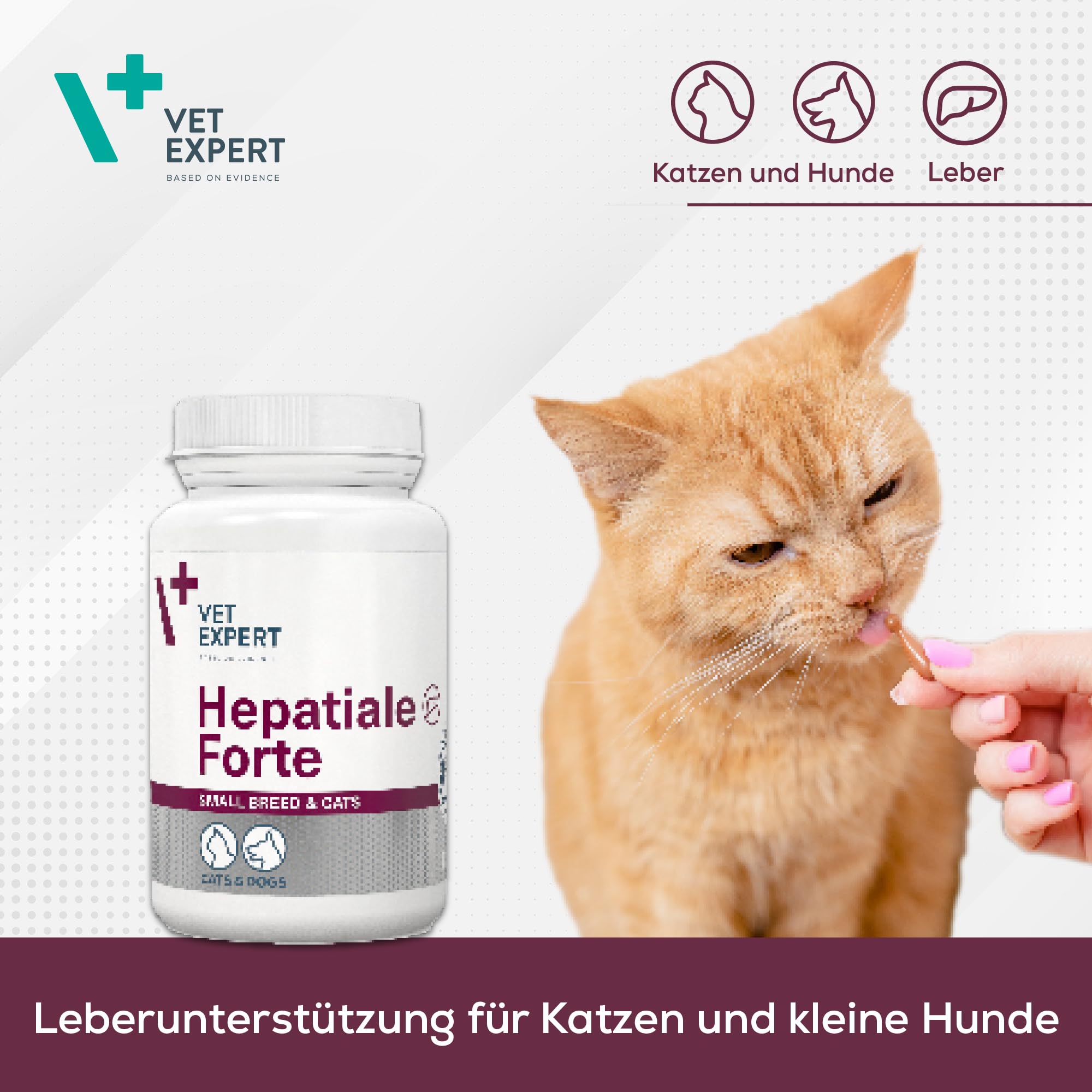 VetExpert Hepatiale Forte Small Breed & Cats Twist-Off - 40 gélules - Complément alimentaire pour petits chiens et chats