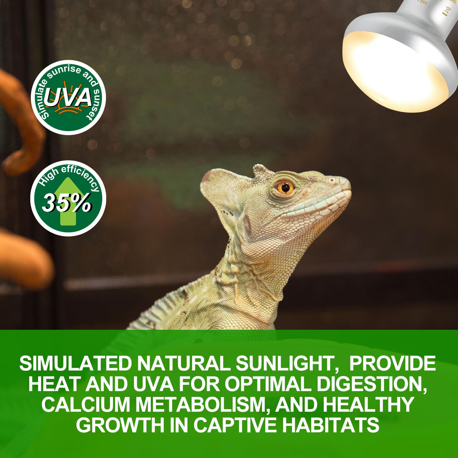 100W Reptile Heat Lamp Bulbs 2 Pack, UVA Basking Light Bulb with Simulate Natural Sunlight & E26 Base - 3000Hrs Basking Heating Lamp Bulb for Bearded Dragons, Turtles, Snakes, Lizards - image 2