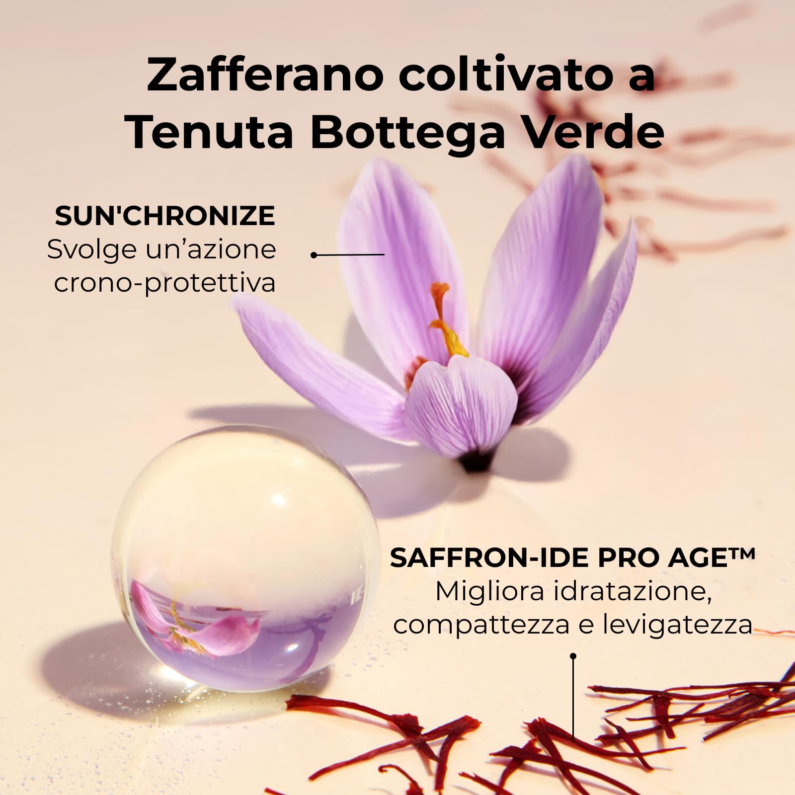 Bottega Verde - Pistilli di Zafferano, La Crema Oro, Ricarica Crema Viso Giorno e Notte, 50 ml, Trattamento Antirughe e Antietà Globale con Zafferano Iperfermentato e Ceramidi, Tutti i Tipi di Pelle