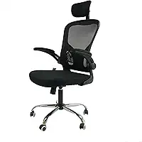 Cadeira Ergonômica Eurynom, Giratória, para Escritório e Home Office, com Encosto Reclinável, Braços Pivotantes, Apoio de Cabeça, Apoio Lombar (Preta)
