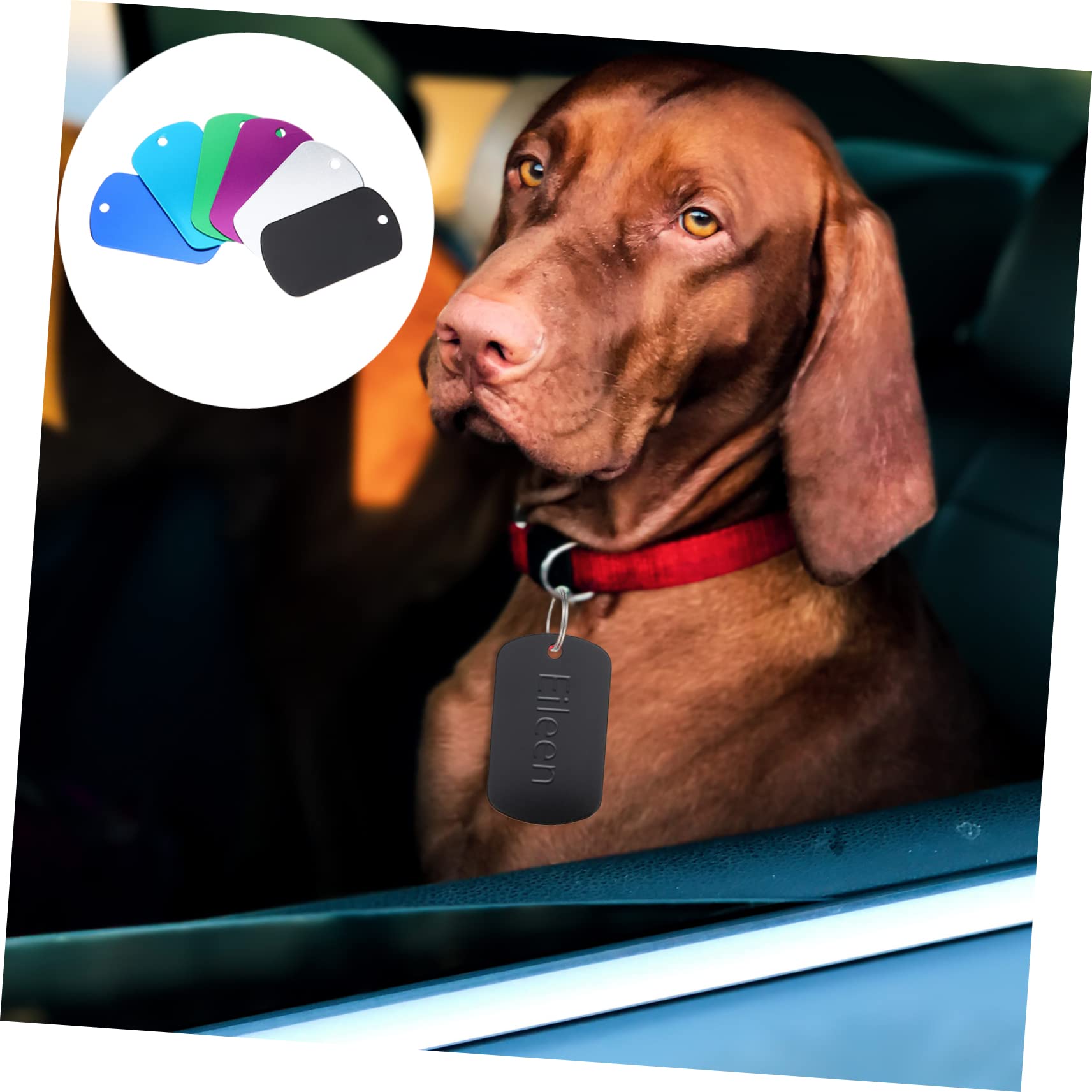 INOOMP 120pièces Étiquettes Vides Alliage pour Animaux Lot de Médailles Personnalisables Colorées Accessoire Pratique Et Élégant pour Chiens Et Autres Animaux De Compagnie