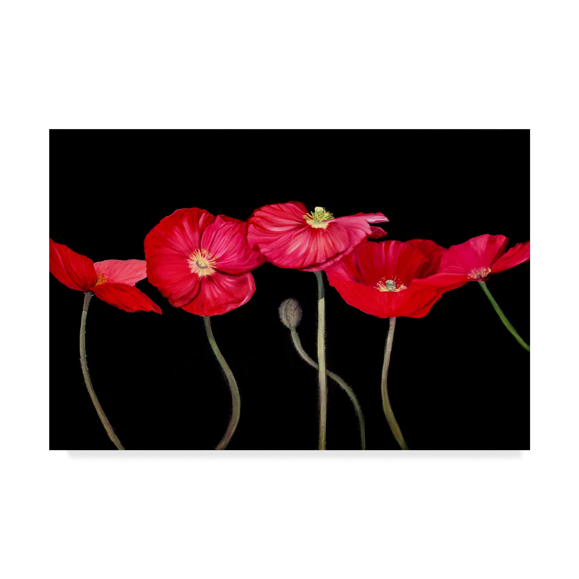 Dramatic Poppies by Sandra Iafrate, 12x19