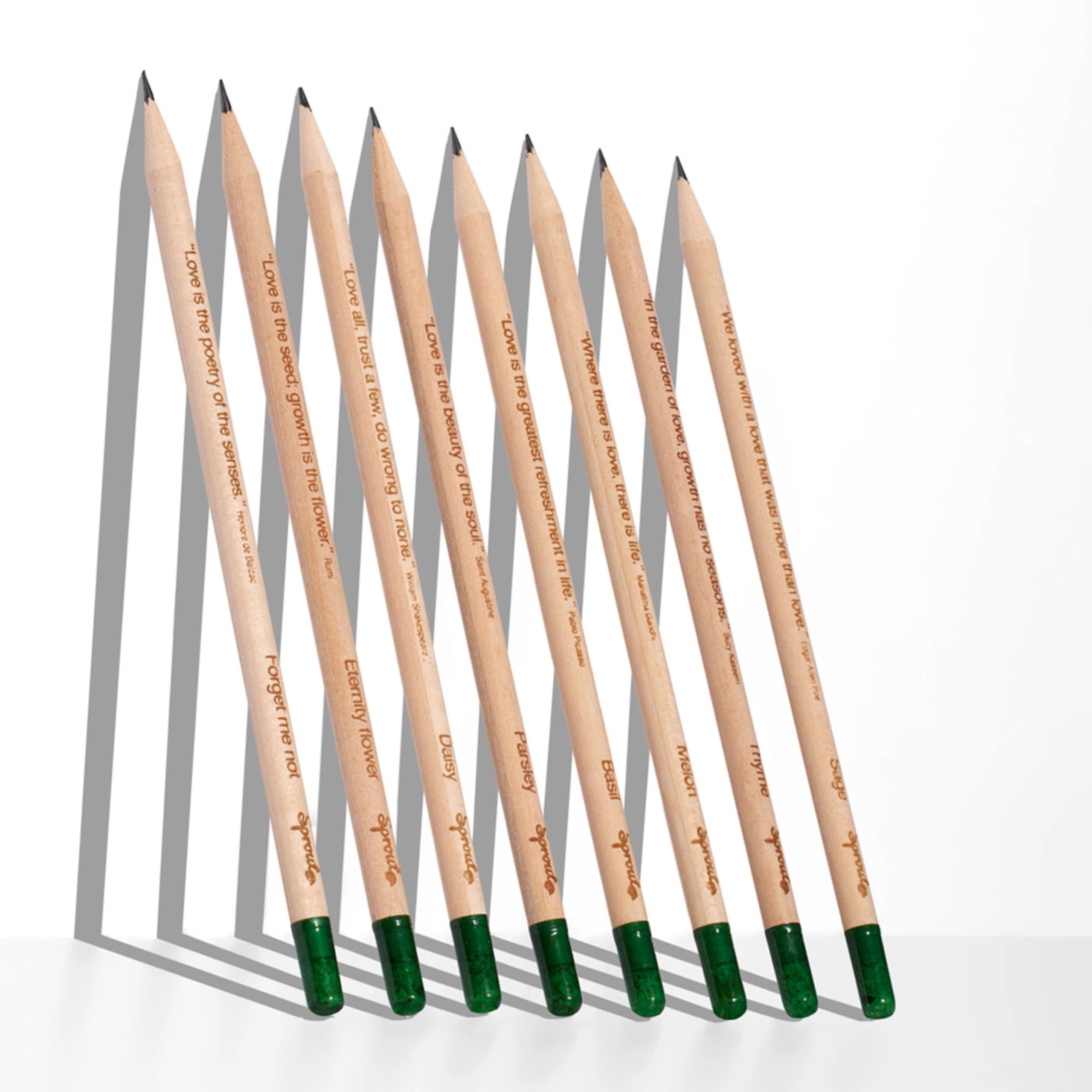 Sprout World Pencils | Spread the Love Edition | Graphite Bleistifte mit Blumen-, Kräuter- und Gemüsesamen | Eco-Friendly Organic Holz| Nachhaltiges Geschenk mit herzerwärmenden Zitaten | 8er Pack