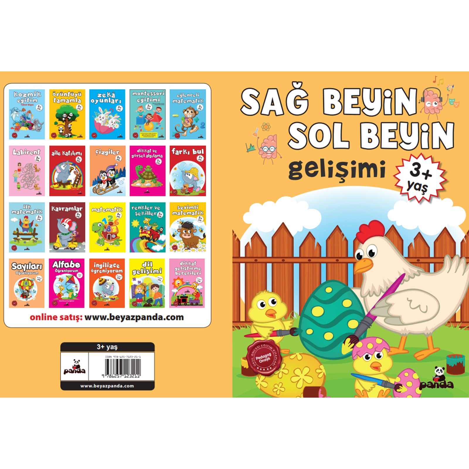 Sağ Beyin - Sol Beyin Gelişimi 3+ Yaş