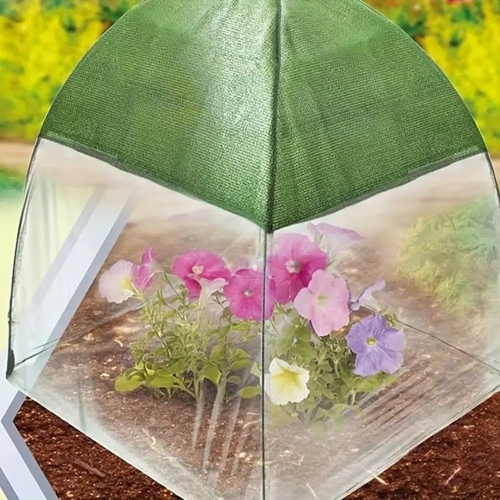 Protectora Plantas 60cm Antiaves con Estacas Protectora Plantas(PE White +4)