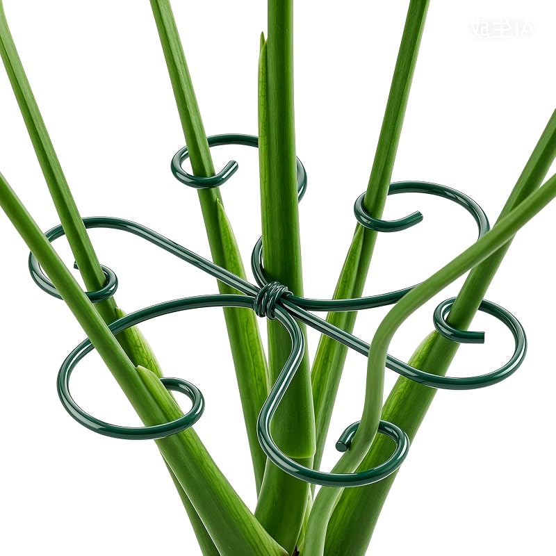 4PCS Monstera Plant Support, 4.1IN Green Metal Plant Stem Support Stakes, Adjustable Indoor Outdoor Potted Climbing Plant Stakes, Monstera Stabilizer Supports