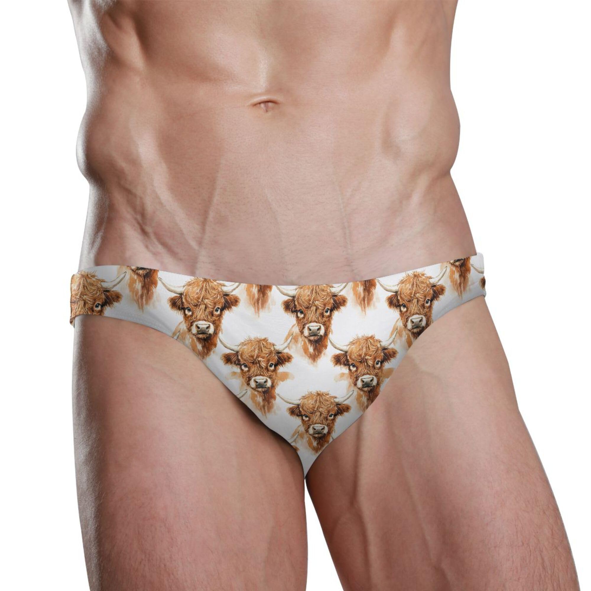 Men's Swim Briefs Highland Cow Animal Swimsuit Beach Swimwear Bikini M B0403707