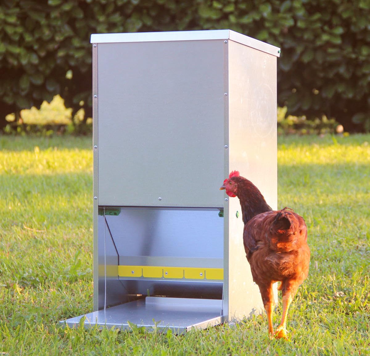 Mangiatoia a pedale in lamiera zincata ALMA basica per polli - capacità 30 litri