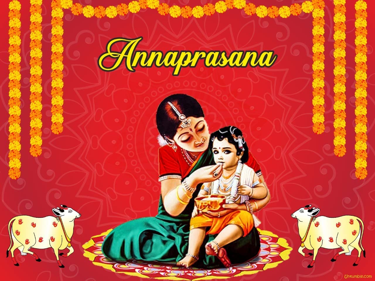 Untumble Annaprashan Decoration Items 3x2 feet Annaprasana Decoration