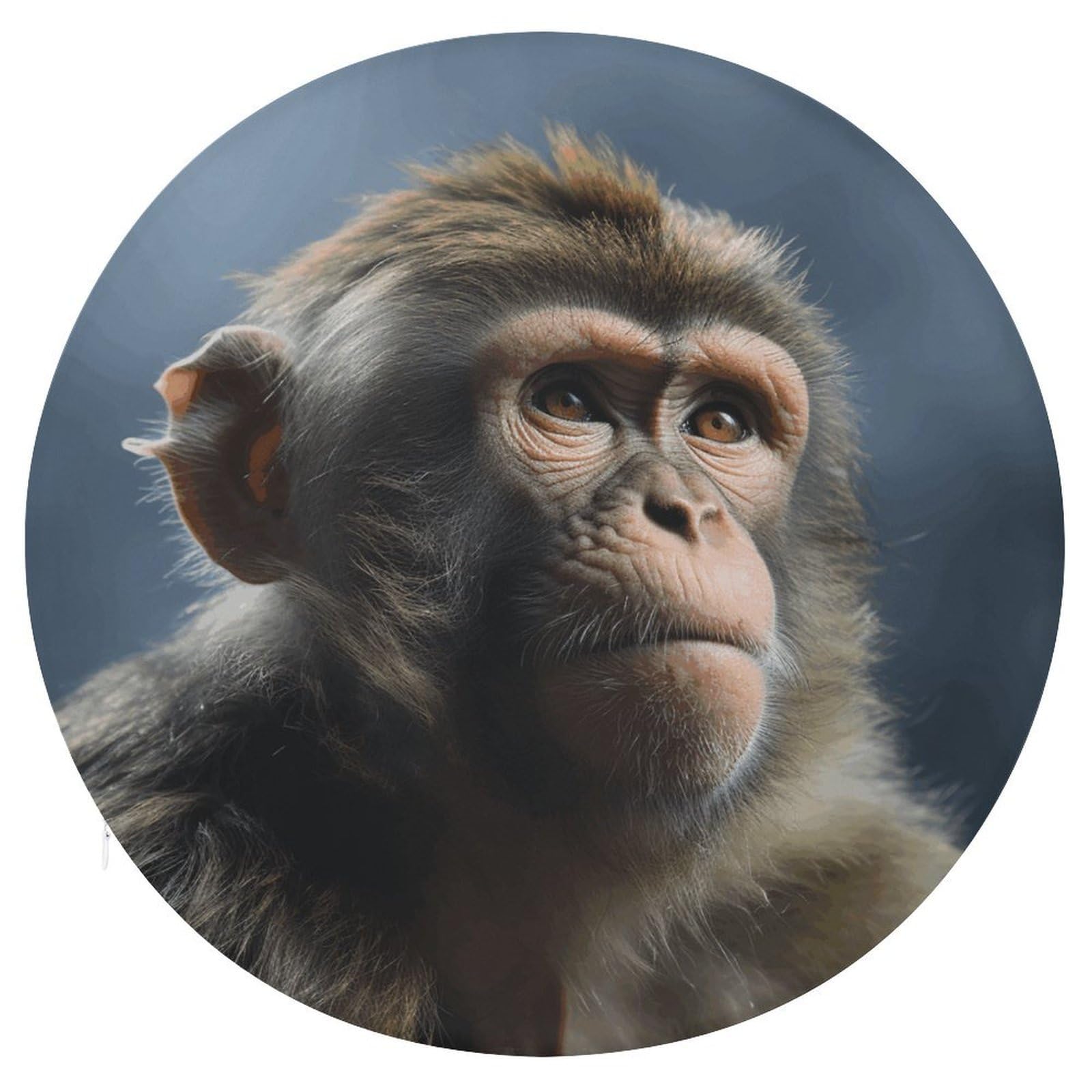 Wsoihfec Style Monkey Seat Cushion Round Chair Pad