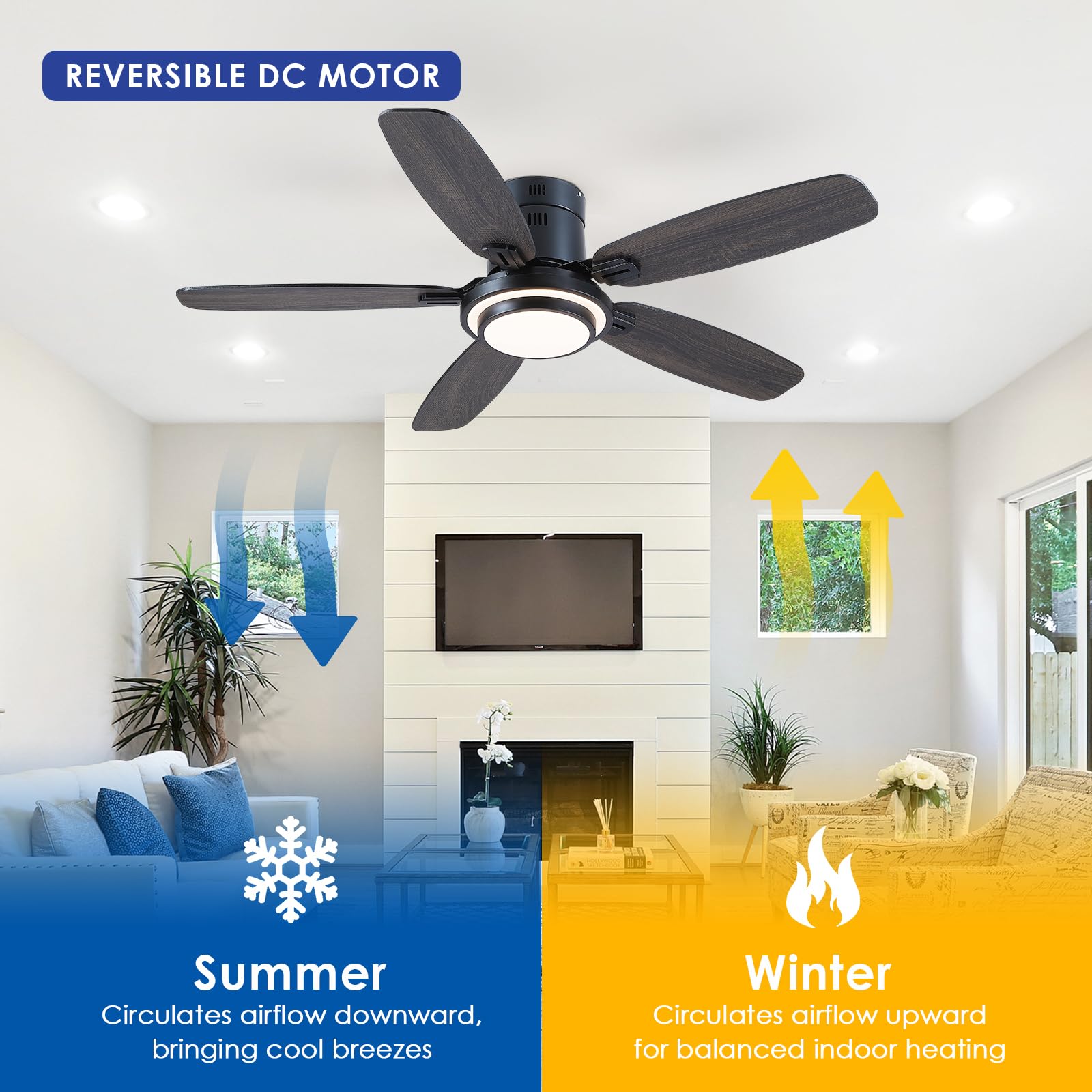Kviflon Ventilateur de Plafond avec Lumière 127 cm, Moteur DC Silencieux et Économe, Télécommande & Contrôle par App, 6 Vitesses, LED Dimmable, 3 Pales ABS, Design Moderne Noir pour Chambre et Salon