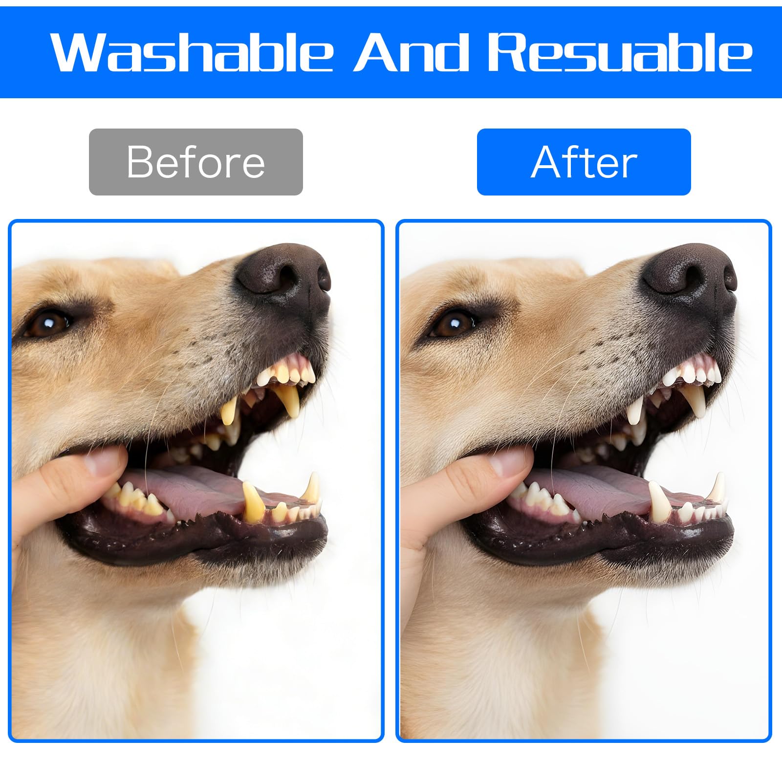 Juego de 10 cepillos de dientes de perro, cepillo de dientes de dedo de perro, cepillos de dientes para cachorros y gatitos con cerdas de silicona, cepillo de limpieza de dientes de gato
