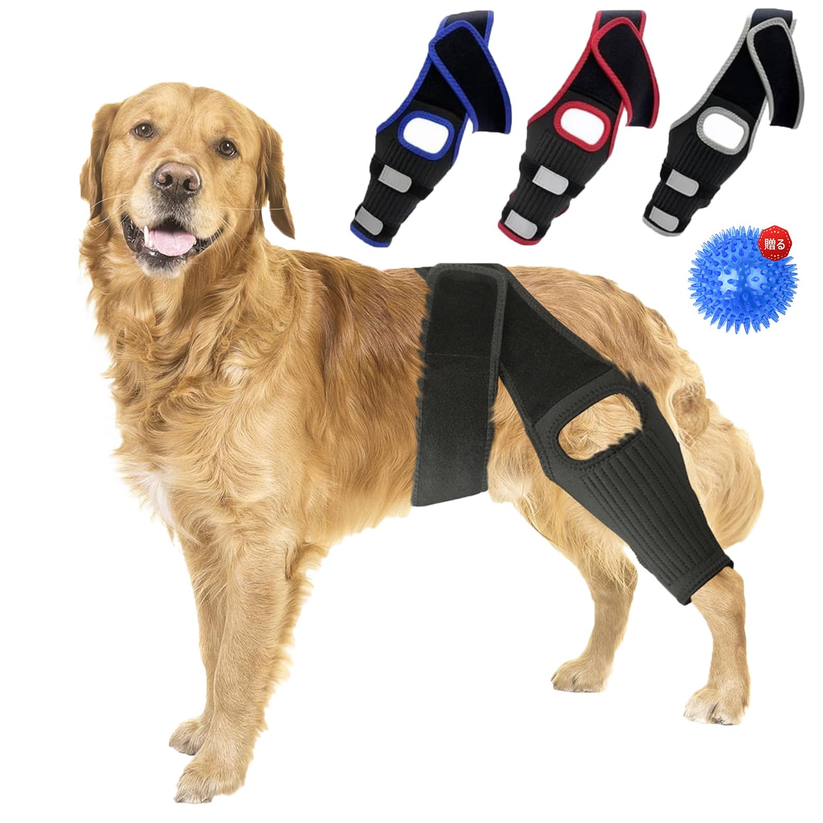 Amazon | 犬用サポーター後ろ足 ペット用サポーター 犬 脚 ブレース 犬