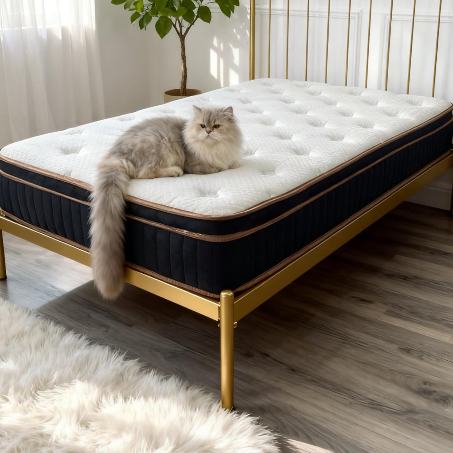 VINGLI 12 Inch Twin XL Mattress for College Students/Young Adults Hybrid Memory Foam in a Box, Individually Wrapped Coils for Motion Isolation/Pressure Relief, Medium Firm,Fiberglass-Free,CertiPUR-US