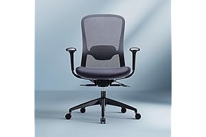 Colamy Ergonomic Mesh Office Chair with Adjustable Lumbar Support