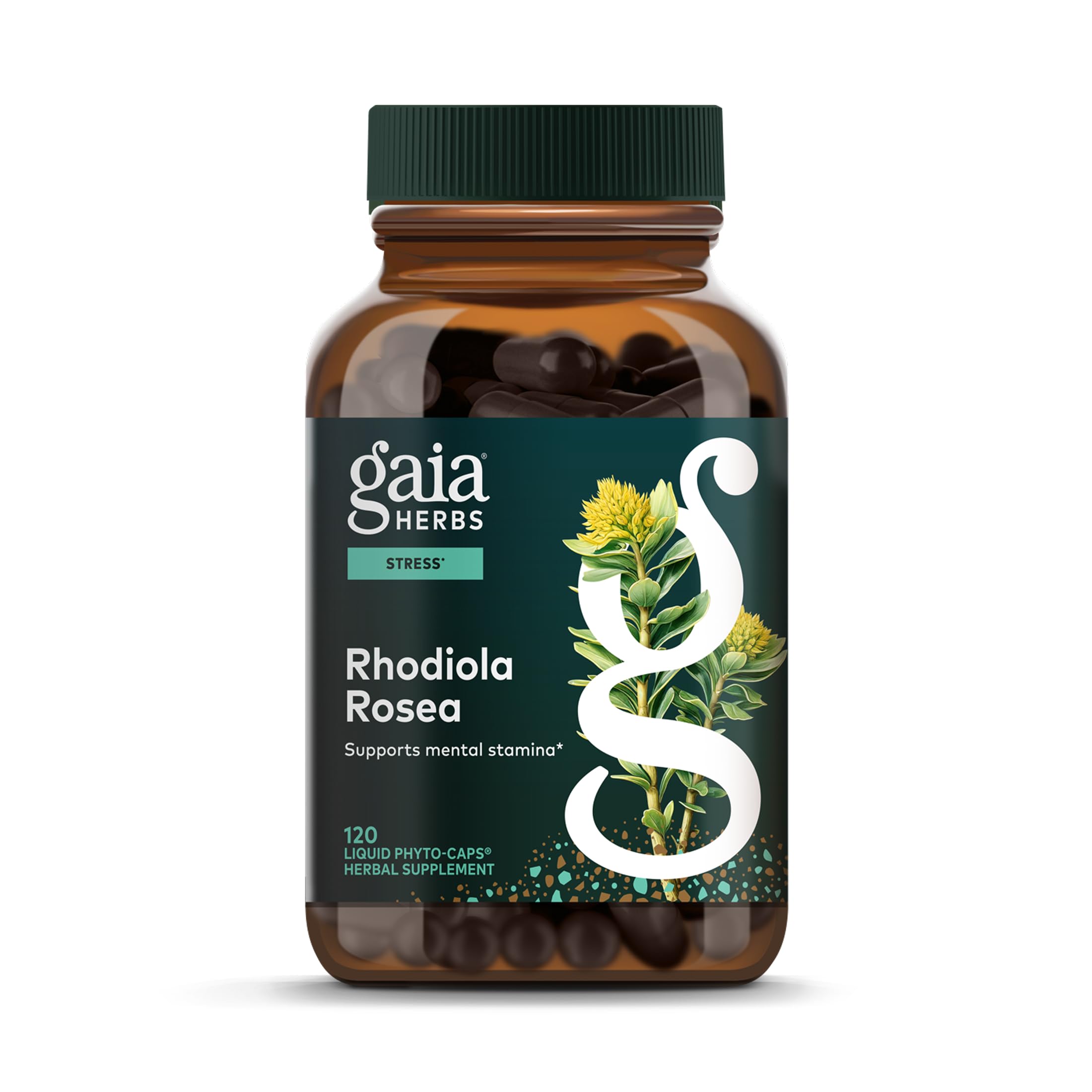 Gaia Herbs Rhodiola Rosea - Stress Support Supplement Traditionally for Supporting Healthy Stamina & Endurance - with Siberian Rhodiola Root Extract* - 120 Vegan Liquid Phyto-Caps (120 Servings)