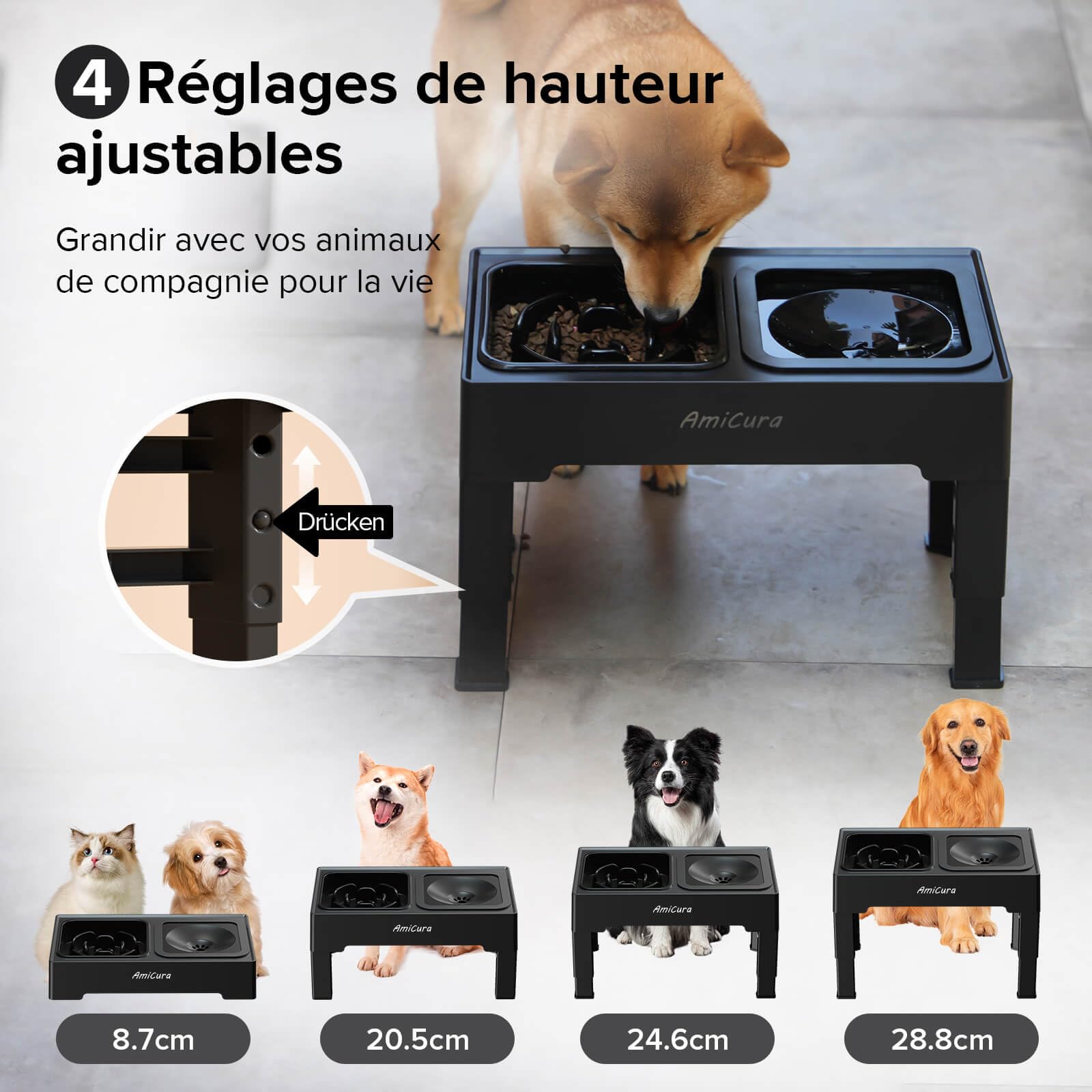 Amicura Gamelle Chien Surelevee, 2-en-1 Gamelle Surélevée avec Gamelle d'eau Anti-éclaboussure et Acier Inoxydable, 4 Hauteurs RéGlables pour Petits Chien Chat de Compagnie, Moyens et Grands