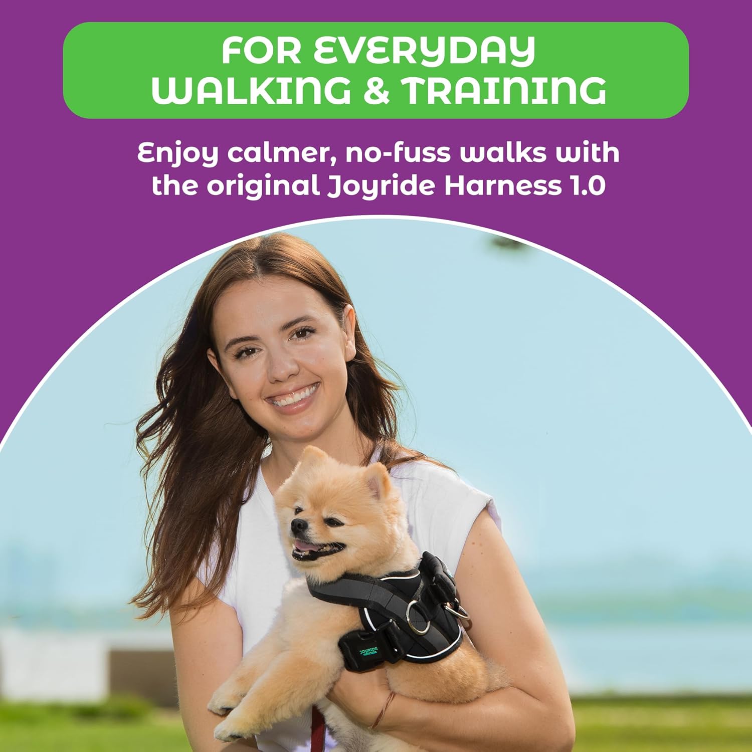 Joyride Basic Essential Dog Harness 1.0 - Small, Medium, Large Dogs, No-Pull Pet Vest with 3 Side Rings for Leash Placement, Adjustable for Training (Black Onyx, M)