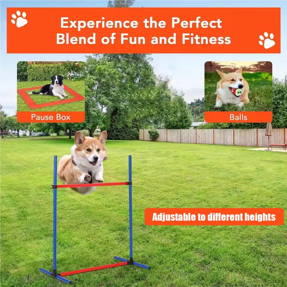 Agility Perros,Equipo De Entrenamiento De Agilidad, Equipado Con Túnel Para Perros, Vallas, 8 Postes De Slalom,2 Juguetes De Pelota De Tenis, Caja De Descanso, Postes De Marcación, 3 Barras Cortas